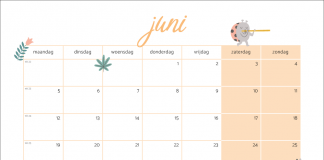 Free printable kalender 2024