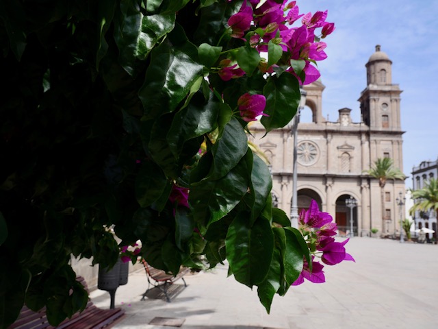 Las Palmas kathedraal