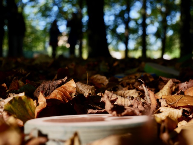 Les Papattes in het bos