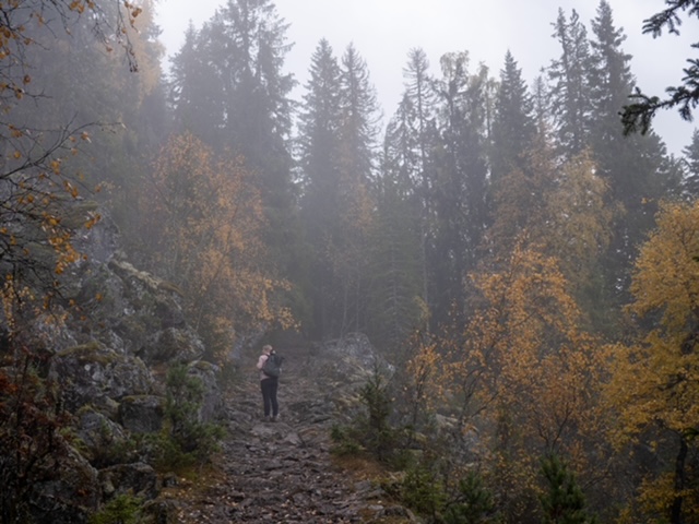 Mørkgonga mistig pad in de ochtend herfst