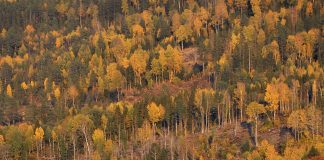 Tyrifjord hotell in Vikersund, regio Viken in Zuid-Noorwegen Tyrifjord hotell in Vikersund, regio Viken in Zuid-Noorwegen