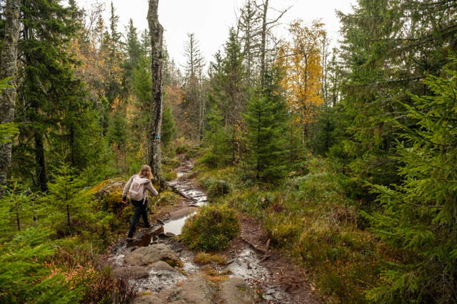 Wandelen naar Mørkgonga in Noorwegen