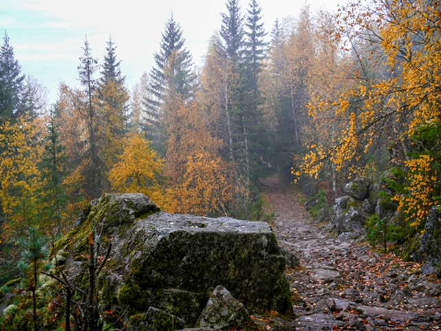 bospad Mørkgonga