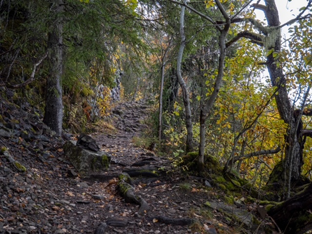 de paden op de wandeling Mørkgonga