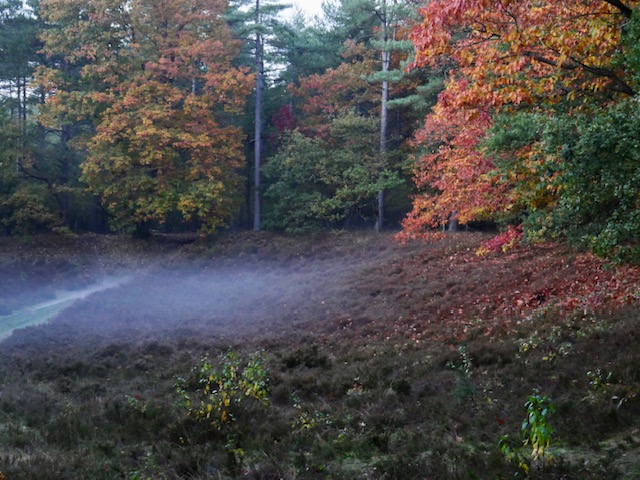 herfst hunzebos drenthe