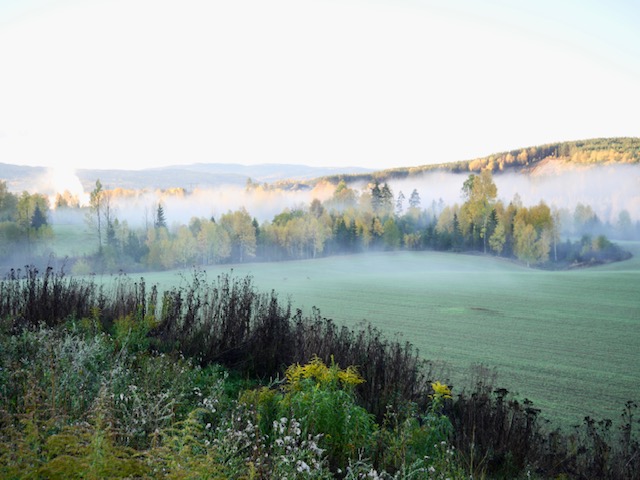 herfstochtend in noorwegen