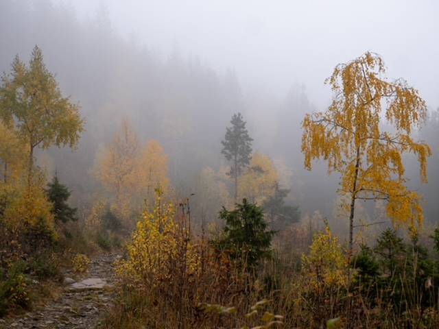 mistig pad Mørkgonga hike