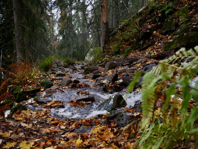 waterval oversteken Mørkgonga