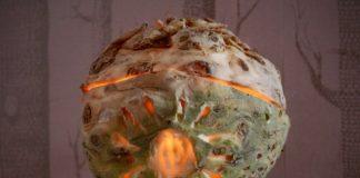 Knollen uithollen voor Sint Maarten Knollen uithollen voor Sint Maarten lichtje