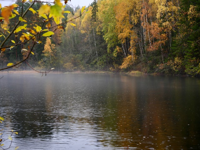 mist op het water