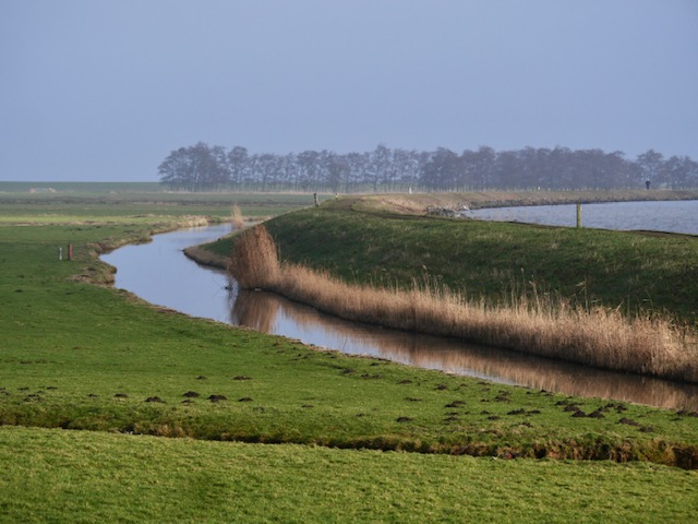 Marken natuur