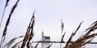 Marken bezoeken: bezienswaardigheden en highlights Paard Marken