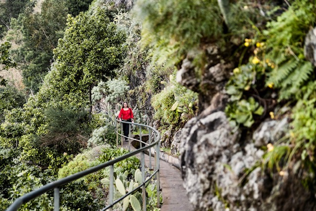 Levada wandeling Madeira