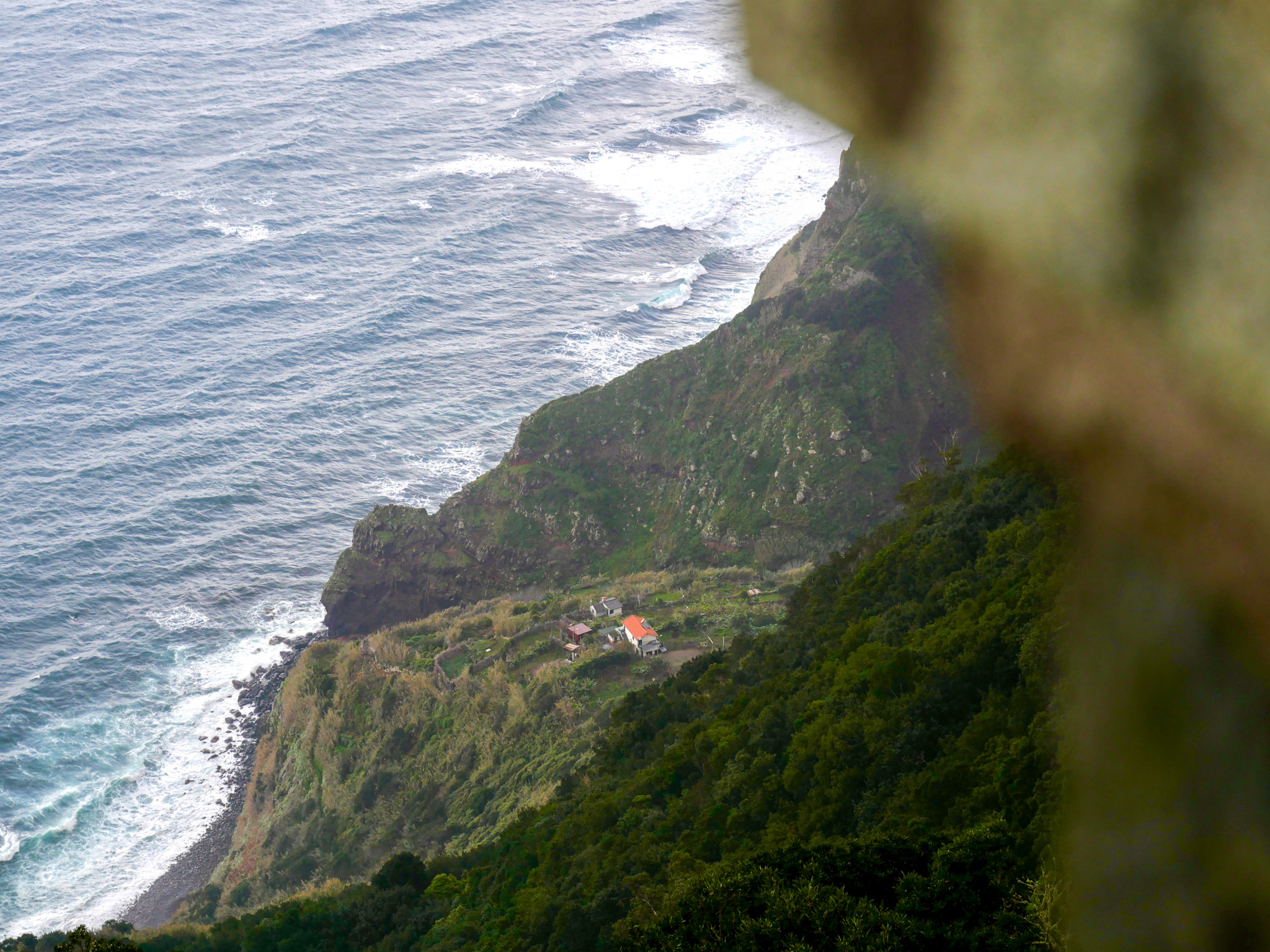 viewpoint madeira