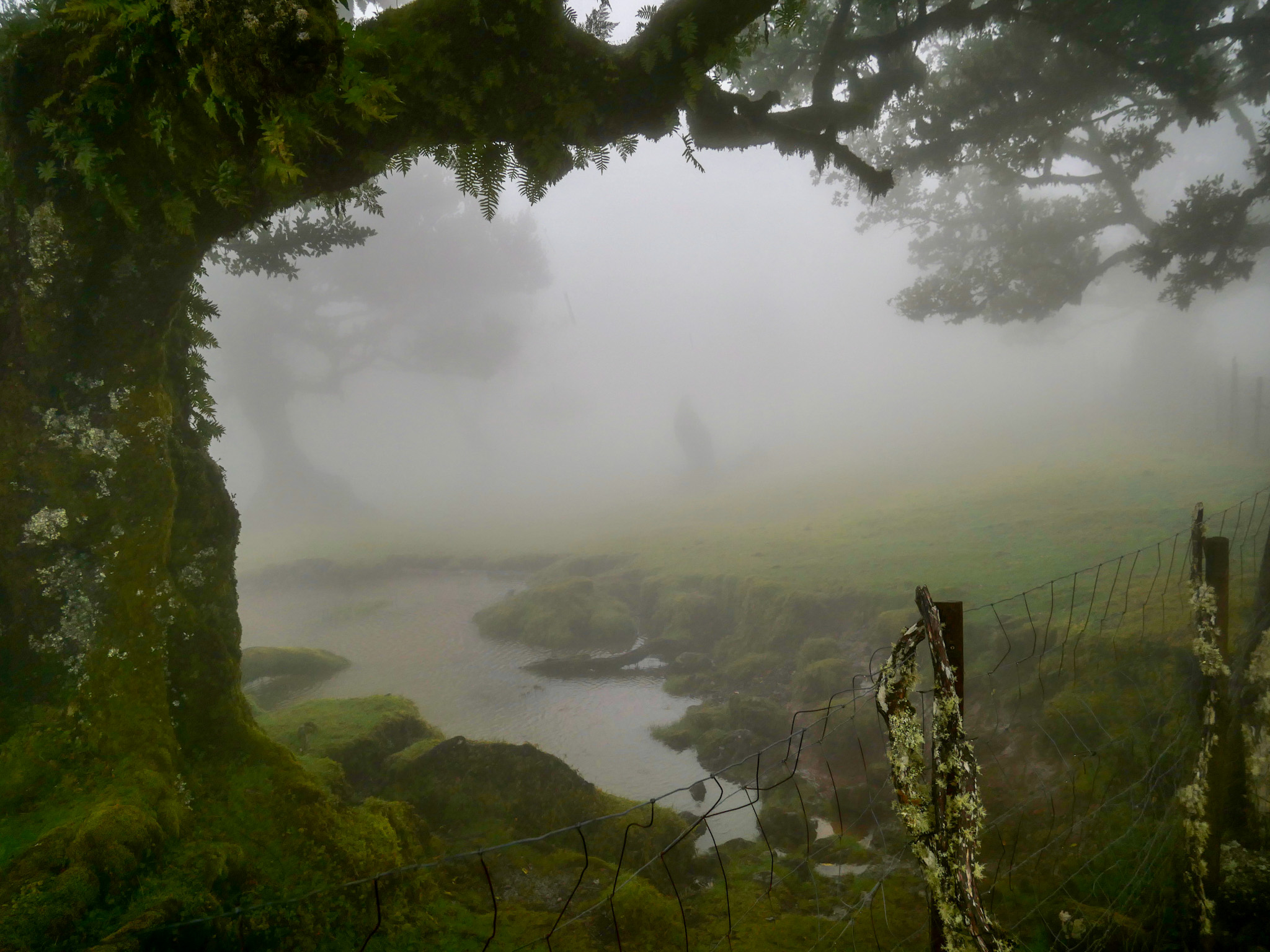 watertje oerbos madeira