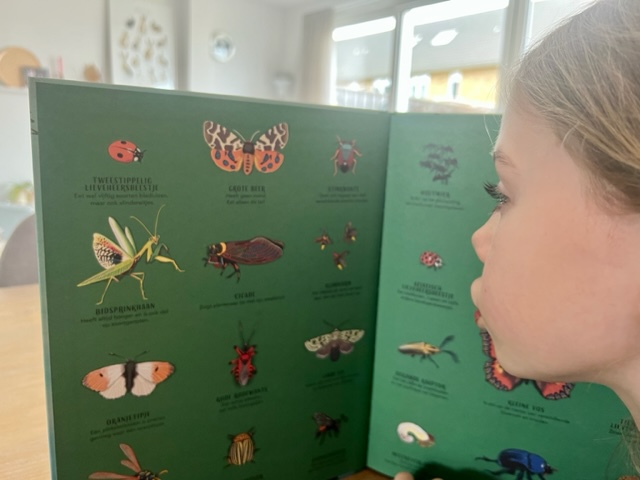 Met dit prentenboek leer je kinderen alles over insecten heel keverburg kookt