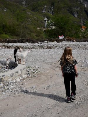 Geitjes onderweg naar de Grunas waterval