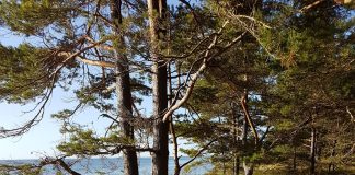 Letland te paard Letland te paard