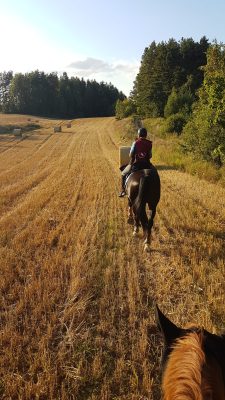 Letland te paard uitzicht