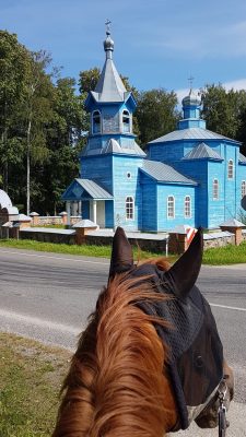 paard bij een blauw kasteel