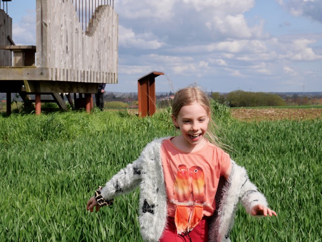 Fee bij landschapskubus