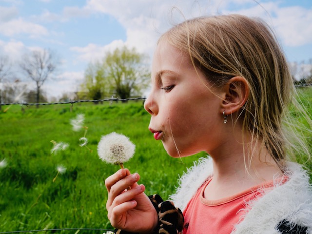 Fee blaast dandelion uit