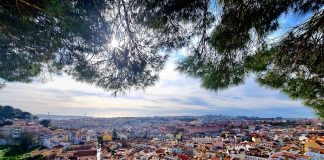 Mooiste uitzichten van Lissabon Mooiste uitzichten van Lissabon bomen