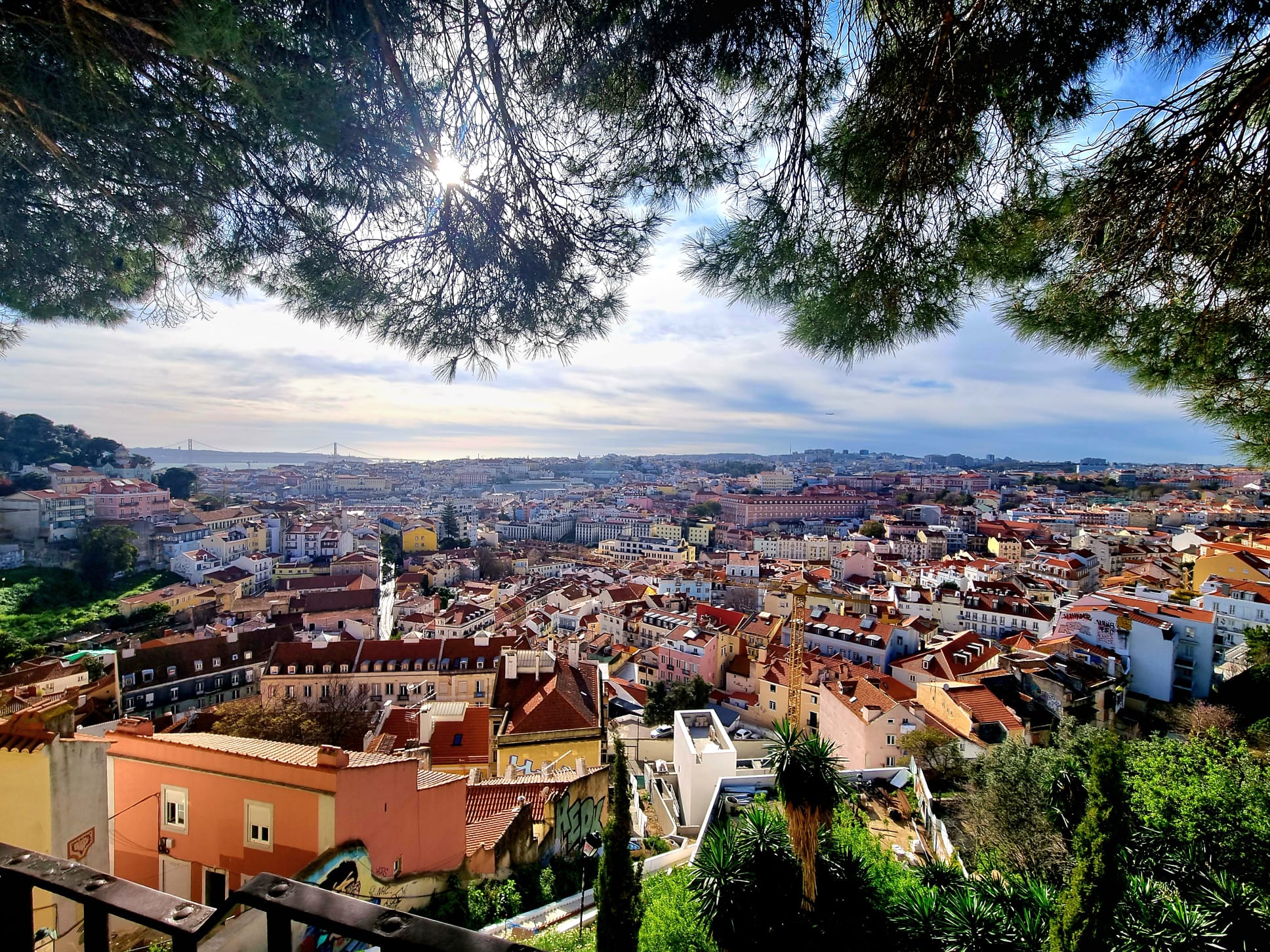 Mooiste uitzichten van Lissabon bomen