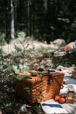 wat je nodig hebt voor een picknick