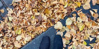 Foto weekoverzicht Judith #455 herfst 2023