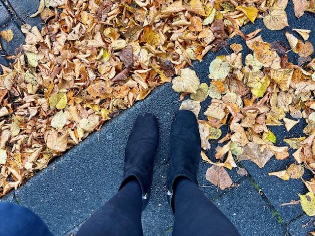 herfst 2023