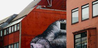 Streetart in Bodø streetart tour bodø phelgm