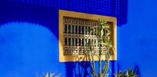 Foto weekoverzicht Judith #470 majorelle tuin