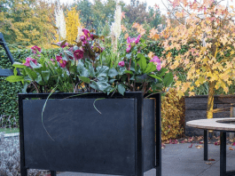 Beton cire als vloer in de woning betonlook plantenbakken