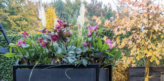 Plantenbakken in je tuin betonlook plantenbakken