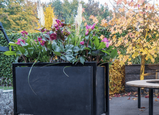 Beton cire als vloer in de woning betonlook plantenbakken