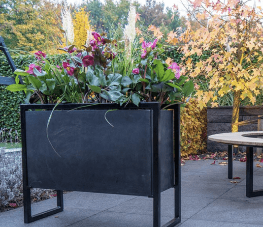 Beton cire als vloer in de woning betonlook plantenbakken