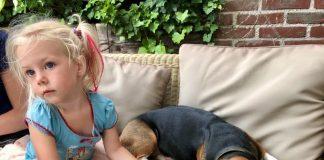 5 tips om je hond gezond en gelukkig te houden Fee met beagle hond