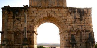 Foto weekoverzicht Judith #497 juut en lenthe volubilis