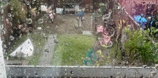 Foto weekoverzicht Judith #504 herfstweer 11 september