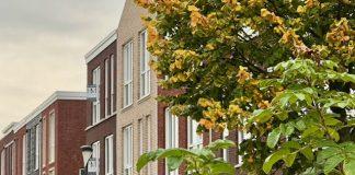 Foto weekoverzicht Judith #509 herfst in de straat