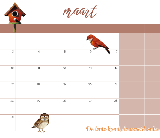 Gratis free printable kalender 2026: Print ‘m direct uit!