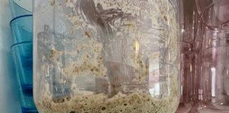 Mijn ervaring met een zuurdesem starter maken Zuurdesem starter dag 3