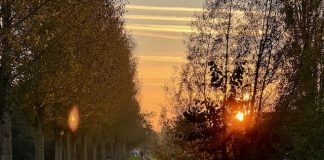 Foto weekoverzicht Judith #512 mooie avond november 2024