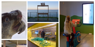 Foto weekoverzicht Judith #524 A seal stellendam