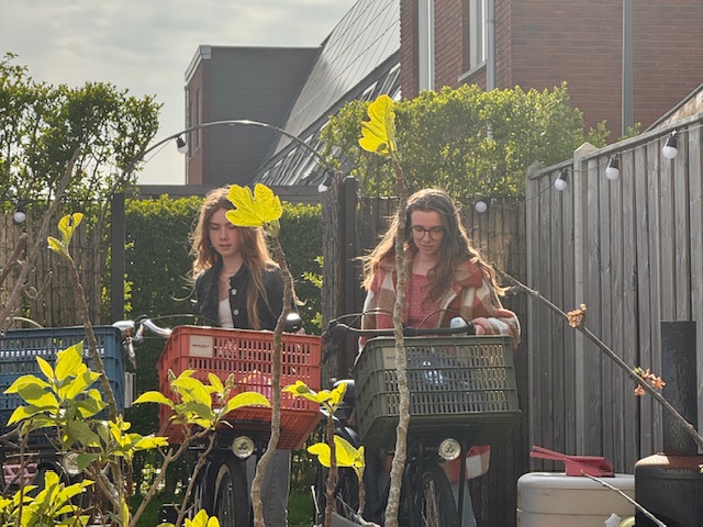 lenthe en sterre shoppen
