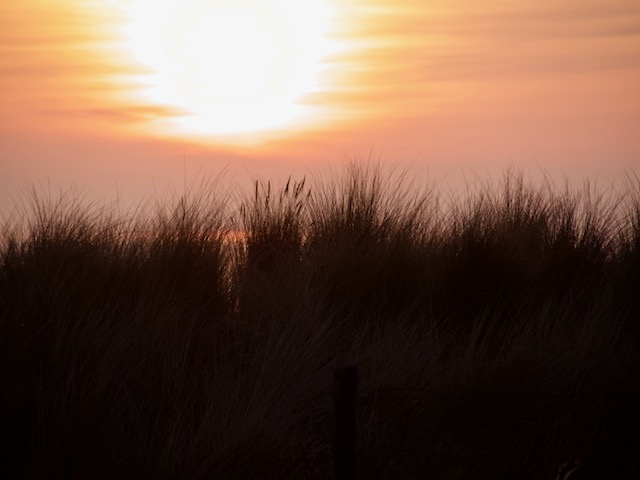 ondergaande zon bij Dunes