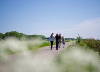 Foto weekoverzicht Judith #537 wandelen dreischor