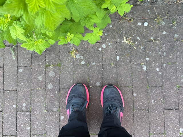 hardlopen mei 2025