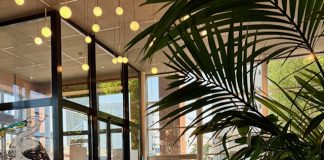 Klaar voor groei? Zo helpt een BV je bedrijf écht verder kantoor johanna westerdijkplein